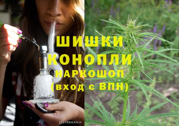 хмурый Каменка