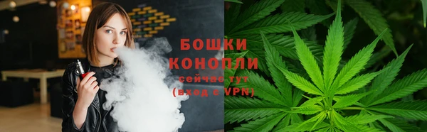хмурый Каменка