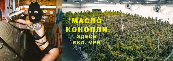 хмурый Каменка