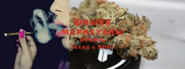 хмурый Каменка