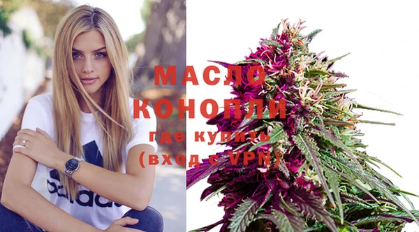 хмурый Каменка