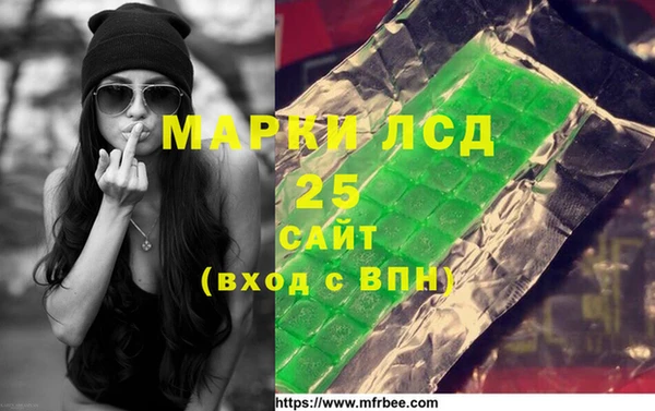 хмурый Каменка