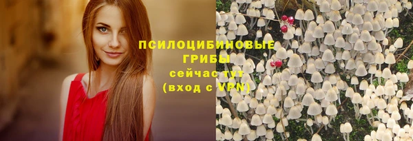 хмурый Каменка