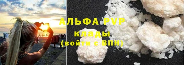 хмурый Каменка